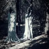 Kerridge's Haunted Pines photo