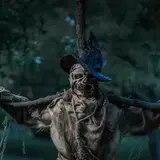 Blood Oaks photo