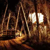 Blood Oaks photo