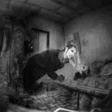 Gravestone Manor photo