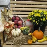 Ideal Farm and Garden photo