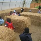 Ideal Farm and Garden photo