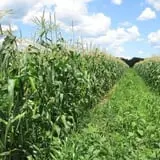 Ideal Farm and Garden photo