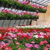 Ideal Farm and Garden photo