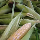 Ideal Farm and Garden photo