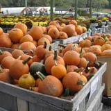 Ideal Farm and Garden photo