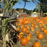 Ideal Farm and Garden photo