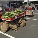 Ideal Farm and Garden photo
