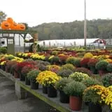 Ideal Farm and Garden photo
