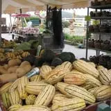 Ideal Farm and Garden photo