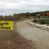 Swan's Pumpkin Farm photo