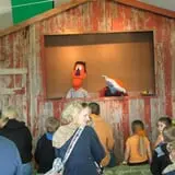 Swan's Pumpkin Farm photo