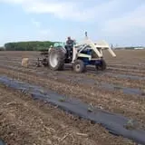 Swan's Pumpkin Farm photo