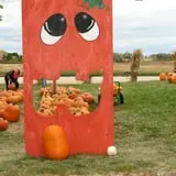 Swan's Pumpkin Farm photo