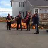 Swan's Pumpkin Farm photo