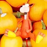 Swan's Pumpkin Farm photo