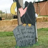 Swan's Pumpkin Farm photo