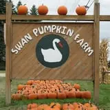 Swan's Pumpkin Farm photo