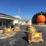 Swan's Pumpkin Farm photo