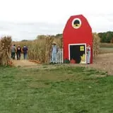 Swan's Pumpkin Farm photo