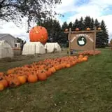 Swan's Pumpkin Farm photo