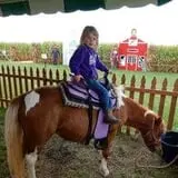Swan's Pumpkin Farm photo