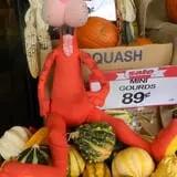 Swan's Pumpkin Farm photo