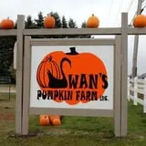 Swan's Pumpkin Farm photo
