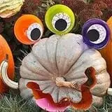 Swan's Pumpkin Farm photo