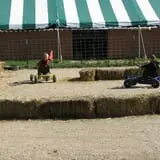 Swan's Pumpkin Farm photo