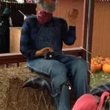 Swan's Pumpkin Farm photo
