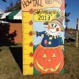 Swan's Pumpkin Farm photo