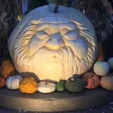 Wheaton Nurseries and Garden Center Fall Festival photo