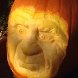 Wheaton Nurseries and Garden Center Fall Festival photo