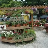 Wheaton Nurseries and Garden Center Fall Festival photo