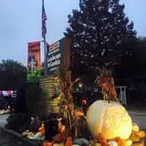 Wheaton Nurseries and Garden Center Fall Festival photo