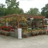 Wheaton Nurseries and Garden Center Fall Festival photo