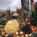 Wheaton Nurseries and Garden Center Fall Festival photo