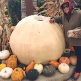 Wheaton Nurseries and Garden Center Fall Festival photo