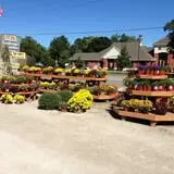 Wheaton Nurseries and Garden Center Fall Festival photo