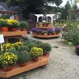 Wheaton Nurseries and Garden Center Fall Festival photo