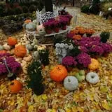 Wheaton Nurseries and Garden Center Fall Festival photo