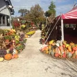Wheaton Nurseries and Garden Center Fall Festival photo