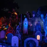 Marlin Manor photo