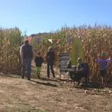 Pumpkin Junction photo
