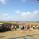 Pumpkin Junction photo