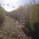 Pumpkin Junction photo