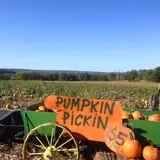 Pumpkin Junction photo