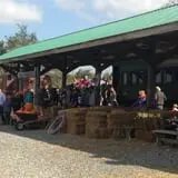 Pumpkin Junction photo