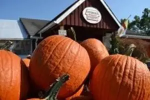 Weber's Cider Mill Farm Fall Harvest Days